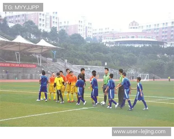 育成足球攻略全解析从新手到高手的成长之路与技巧分享